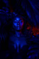 Edouard VASILIĆ - Edouard Vasilic