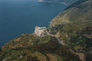 Edouard VASILIĆ - Edouard Vasilic