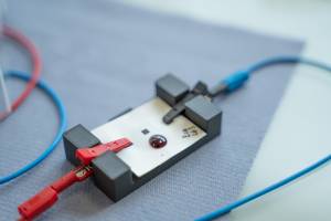 Edouard VASILIĆ - Edouard Vasilic