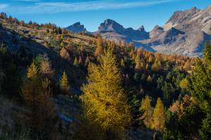 Gabriel JOANNAS - JOANNAS GABRIEL