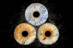 Laura RODRIGUES - OBJECTIF PHOTO